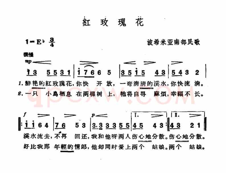 [捷]红玫瑰花