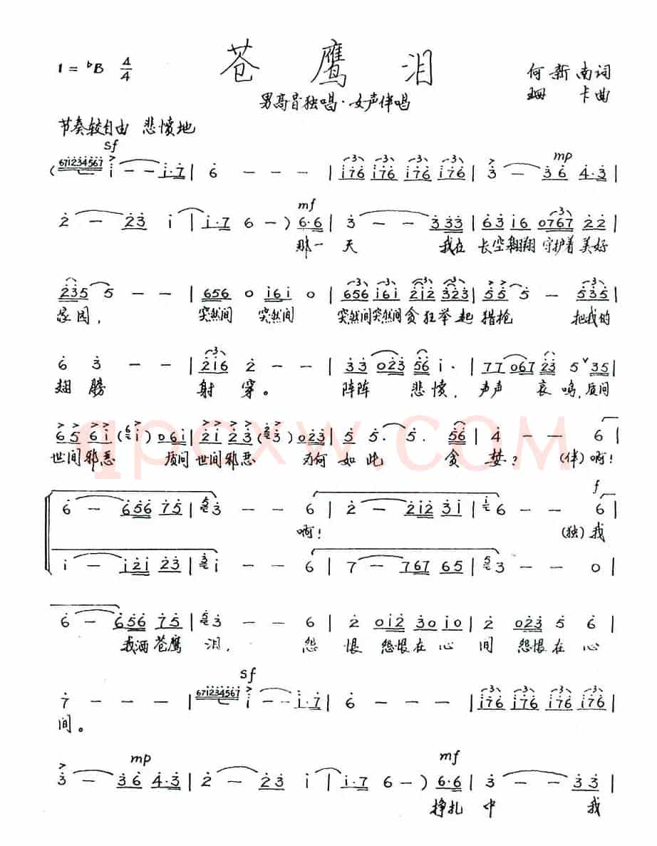 苍鹰泪（何新南词 珊卡曲）
