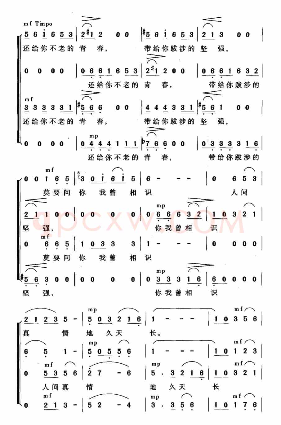 人间真情地久天长（无伴奏合唱）