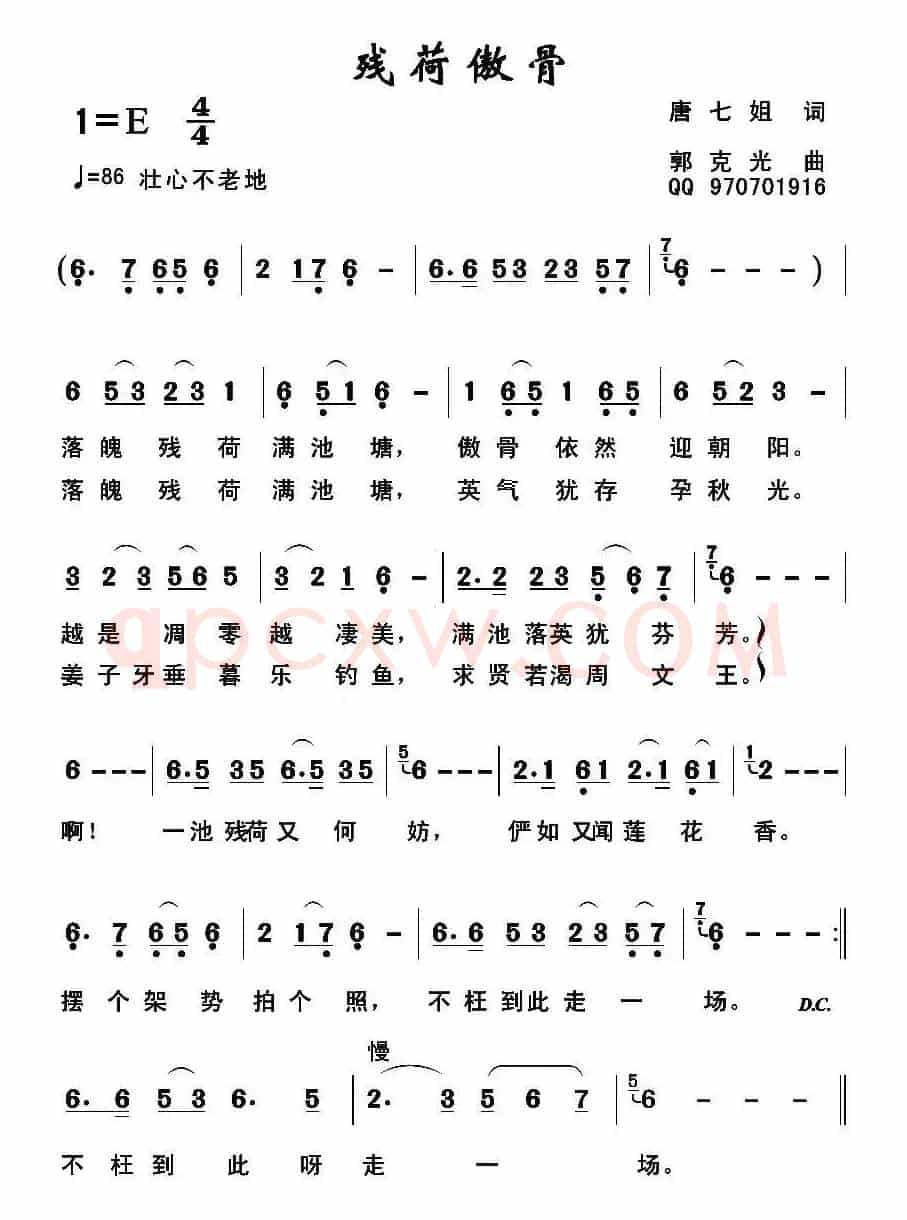 残荷傲骨