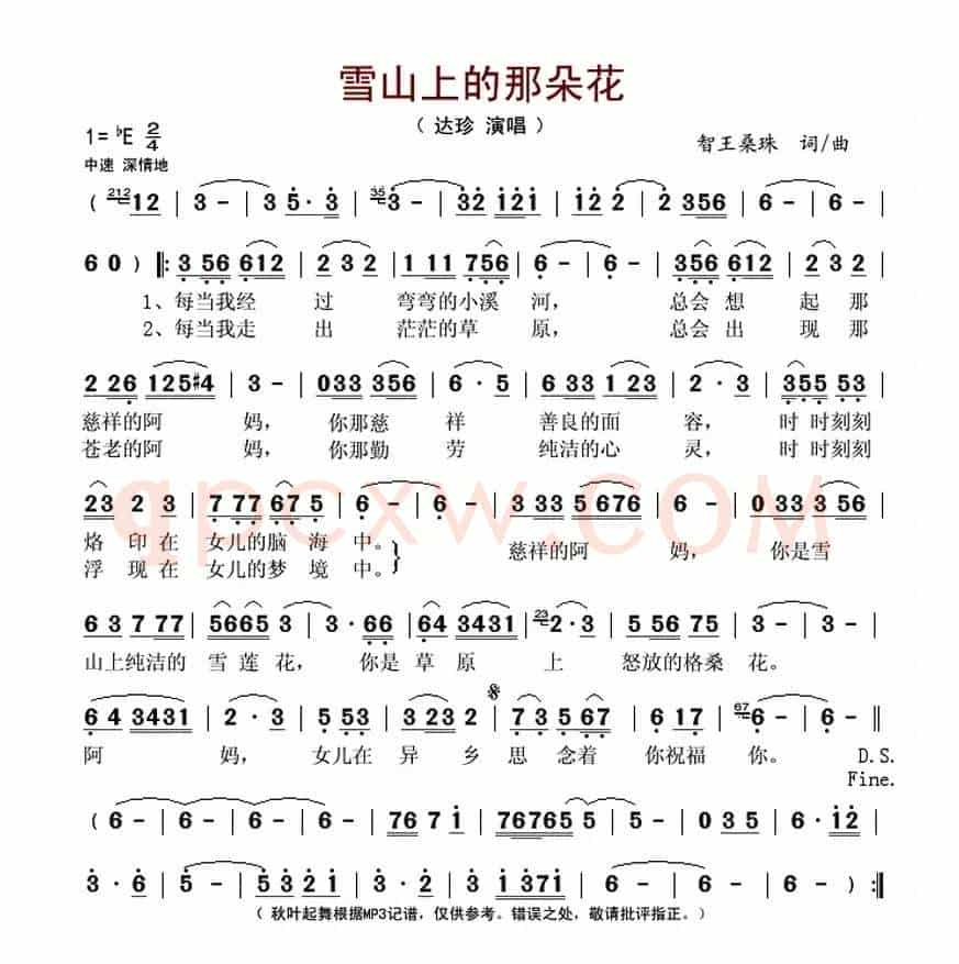 雪山上的那朵花