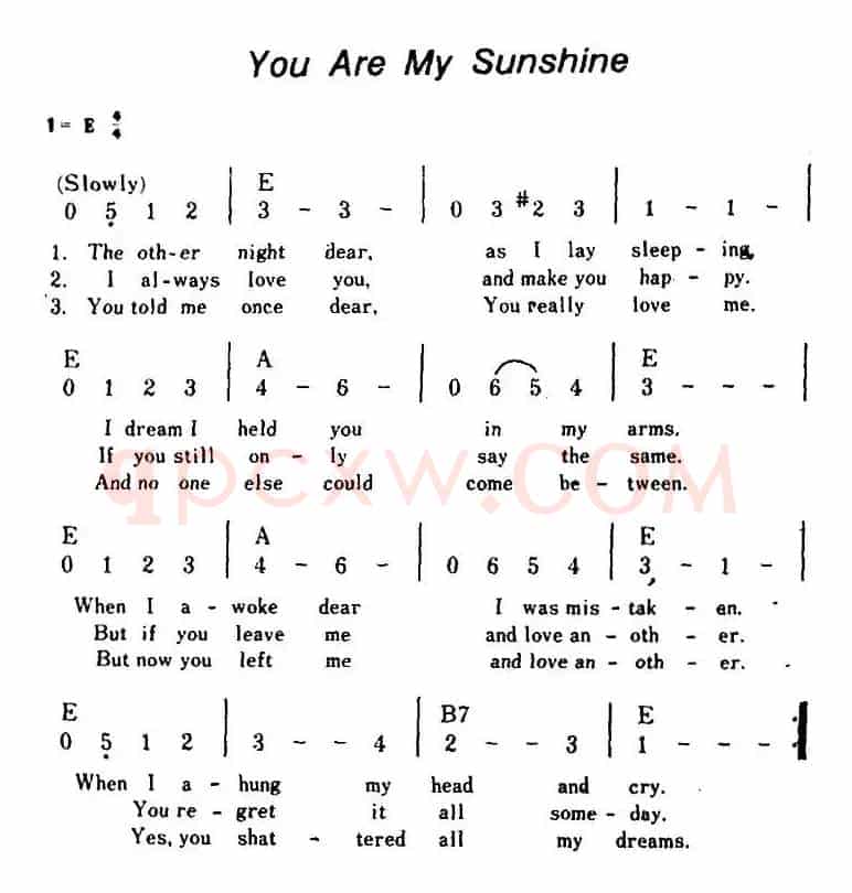 [美]You Are My Sunshine（你是我的阳光、带和弦）