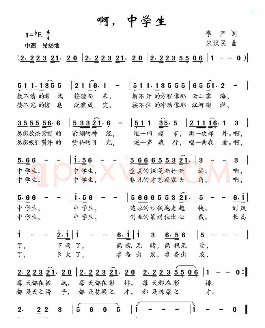啊，中学生