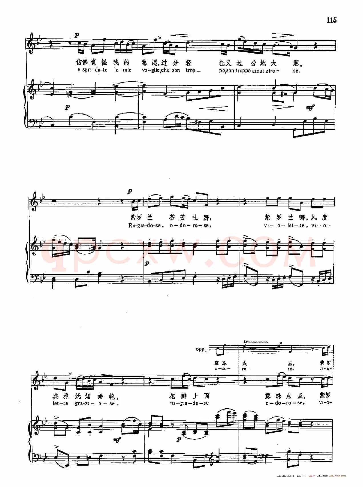 声乐教学曲库3-[意]25紫罗兰（正谱）