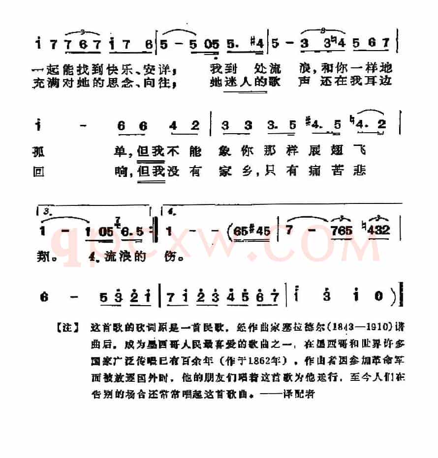 [墨西哥]燕子