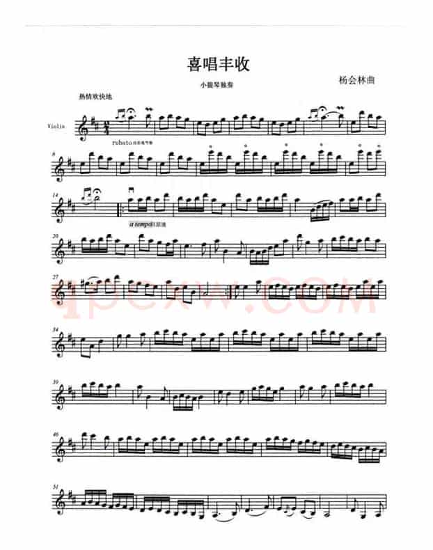 喜唱丰收（小提琴独奏）
