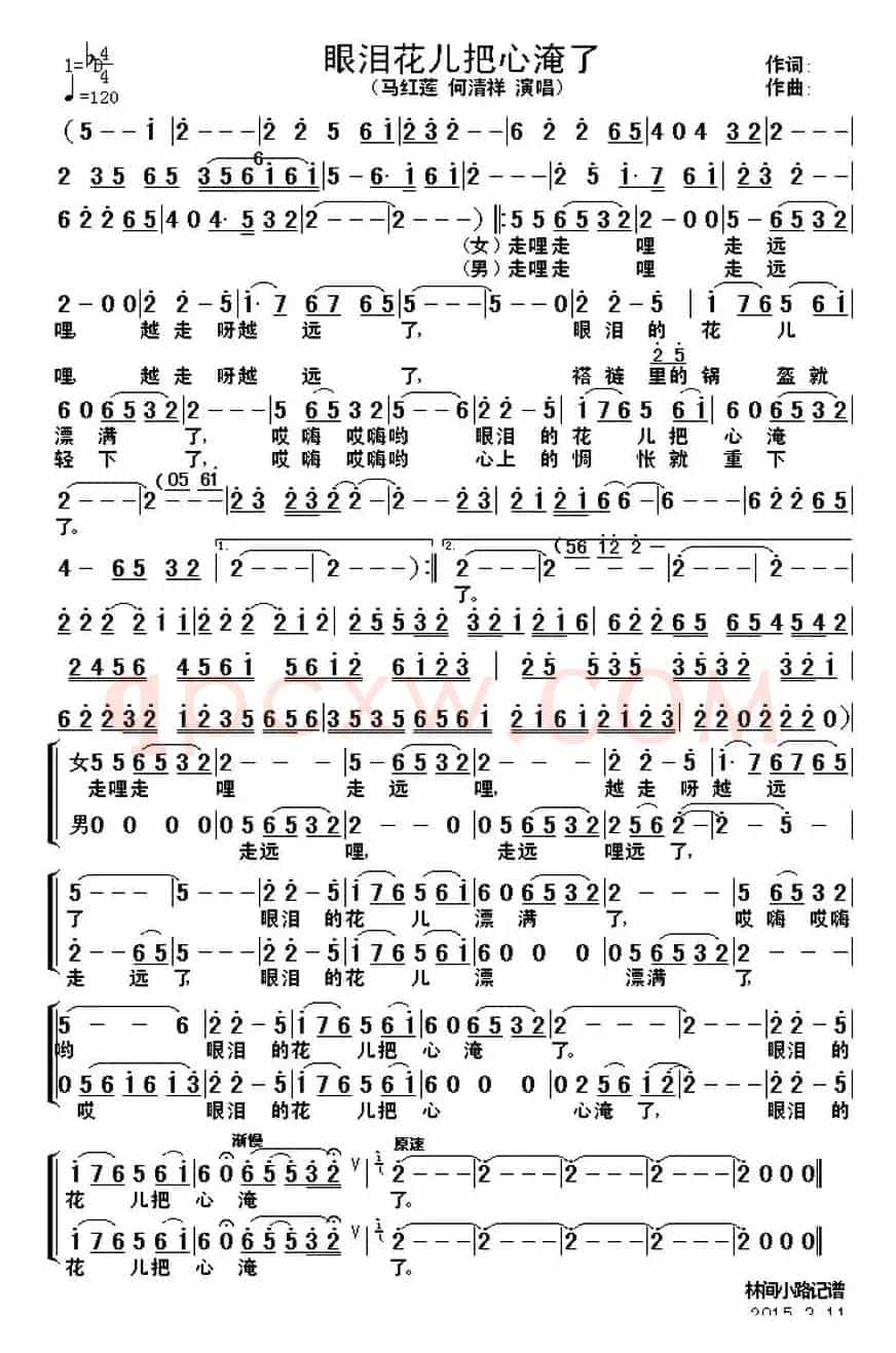 眼泪花儿把心淹了