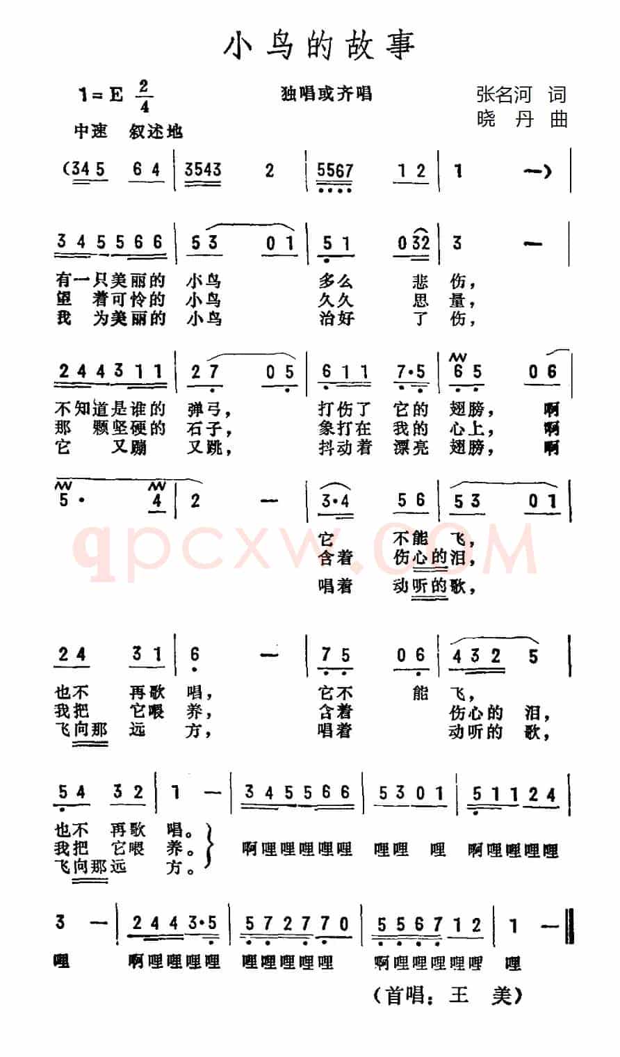 小鸟的故事