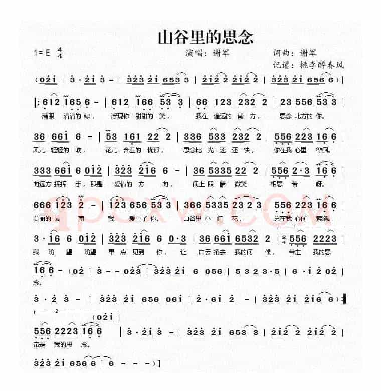 山谷里的思念