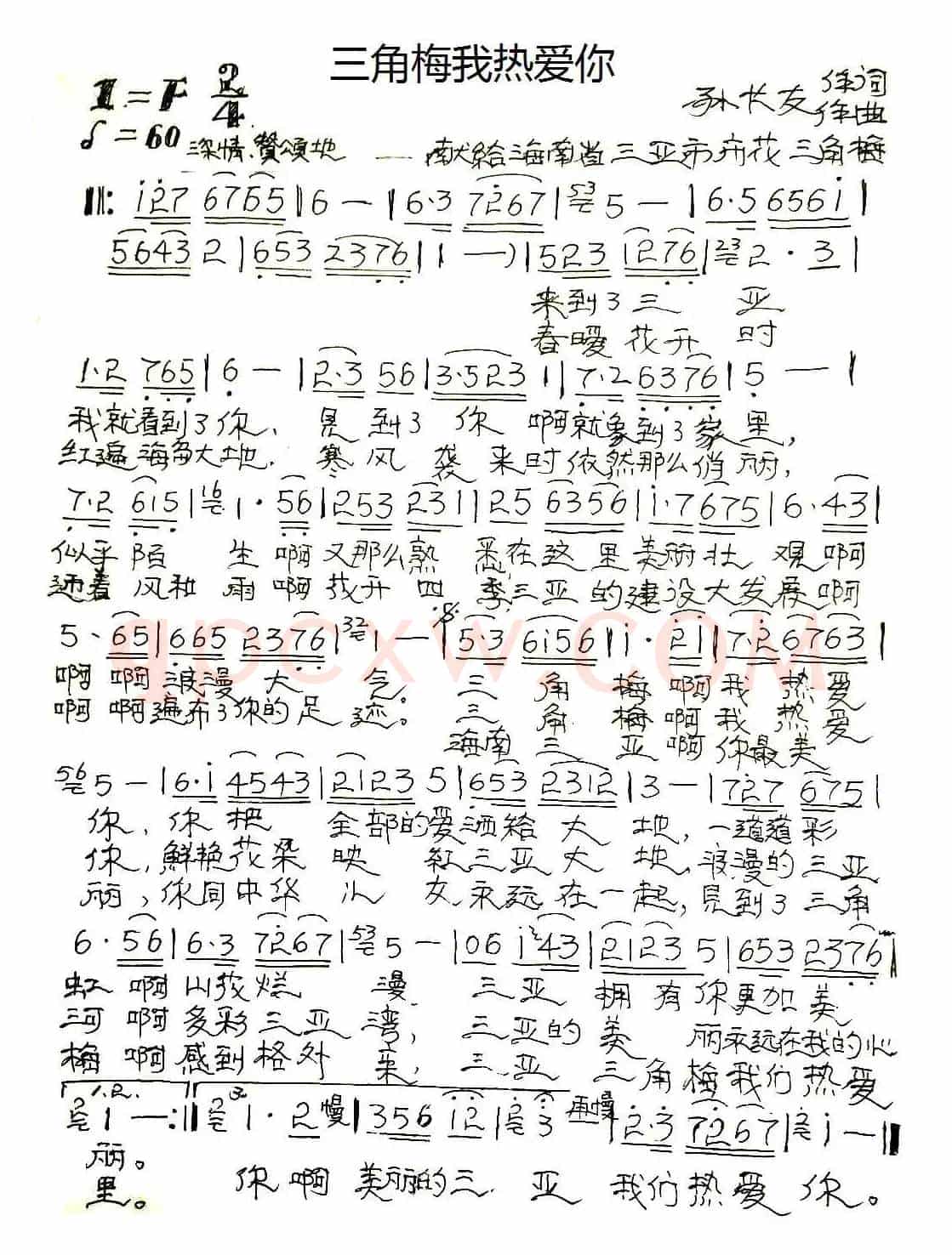 三角梅我热爱你
