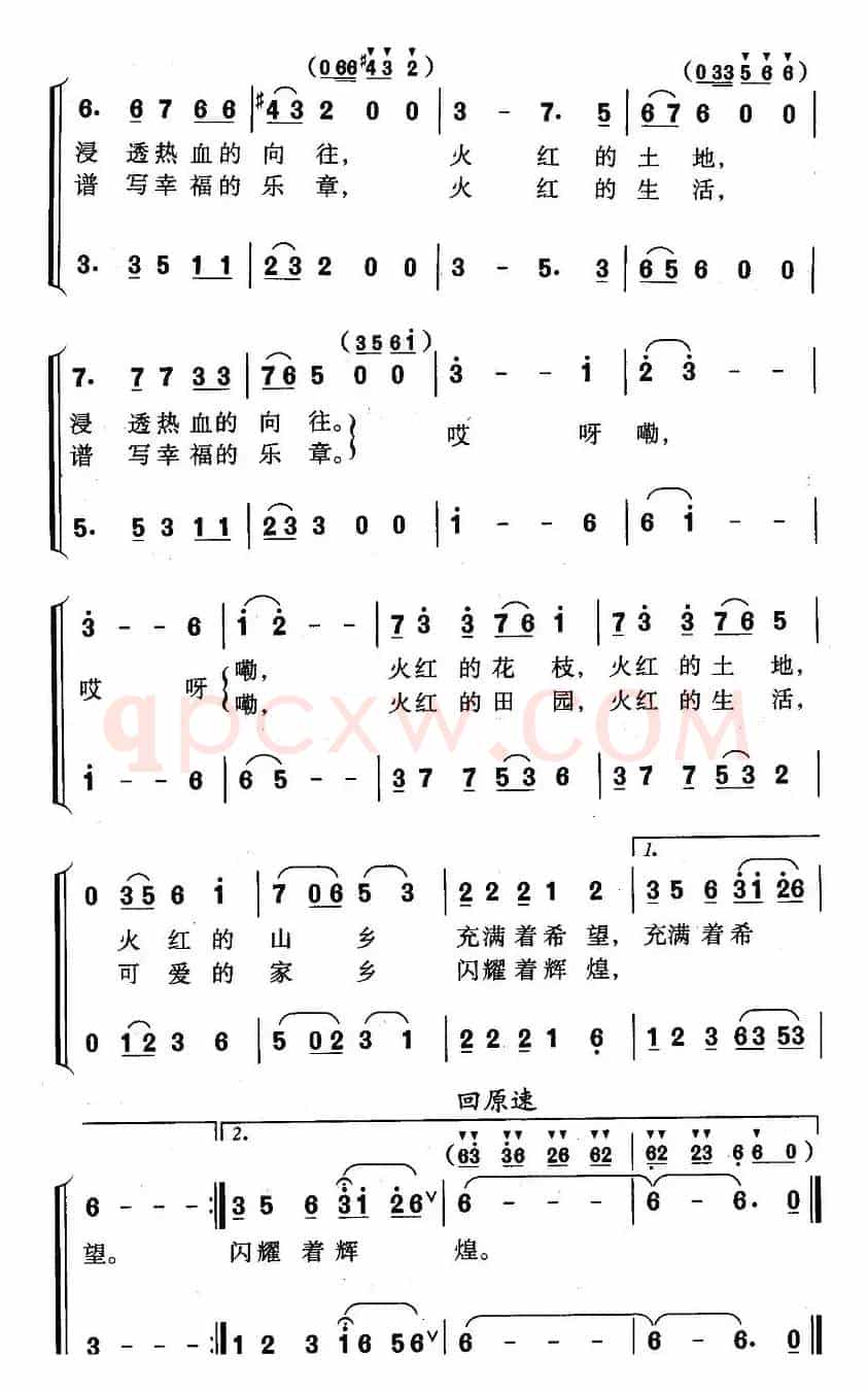 映山红的家乡