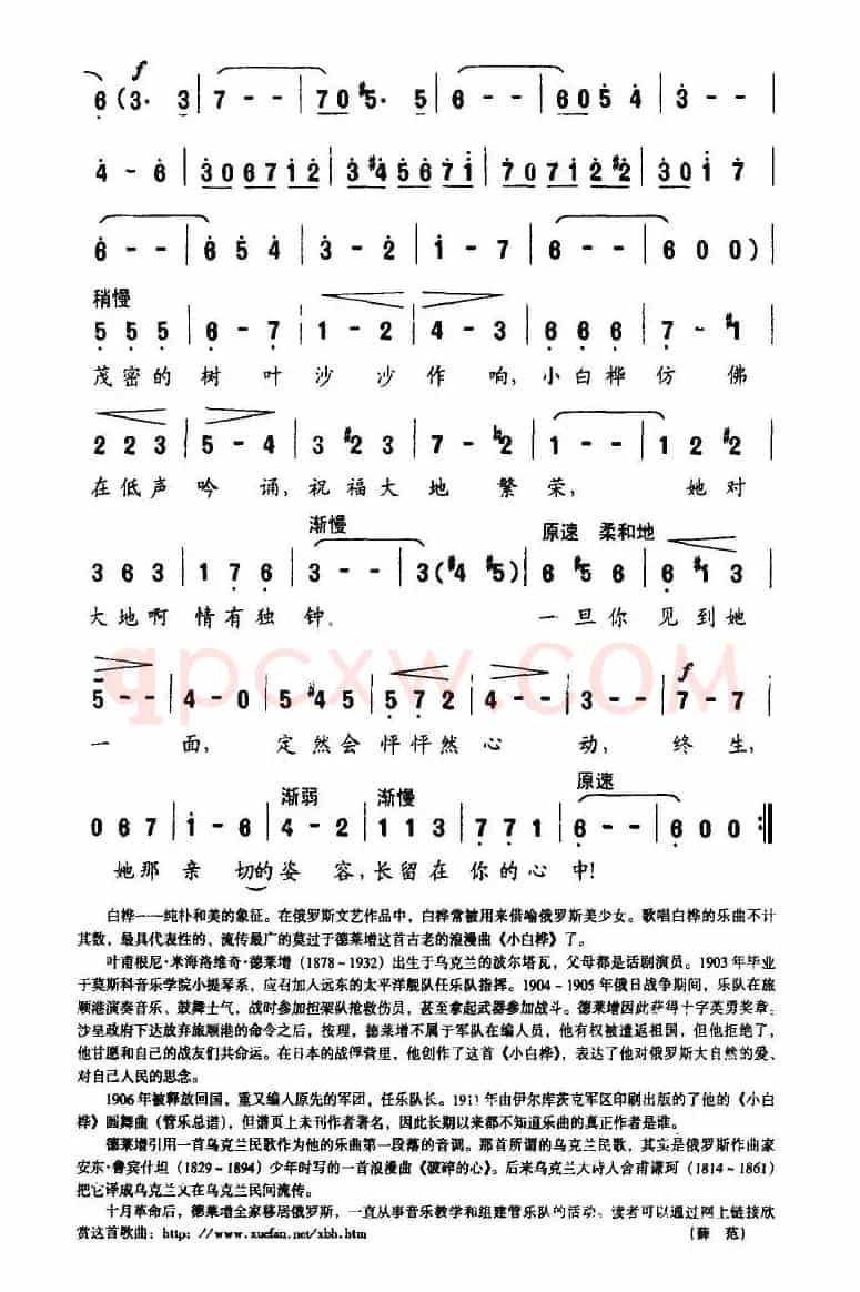 小白桦（俄）