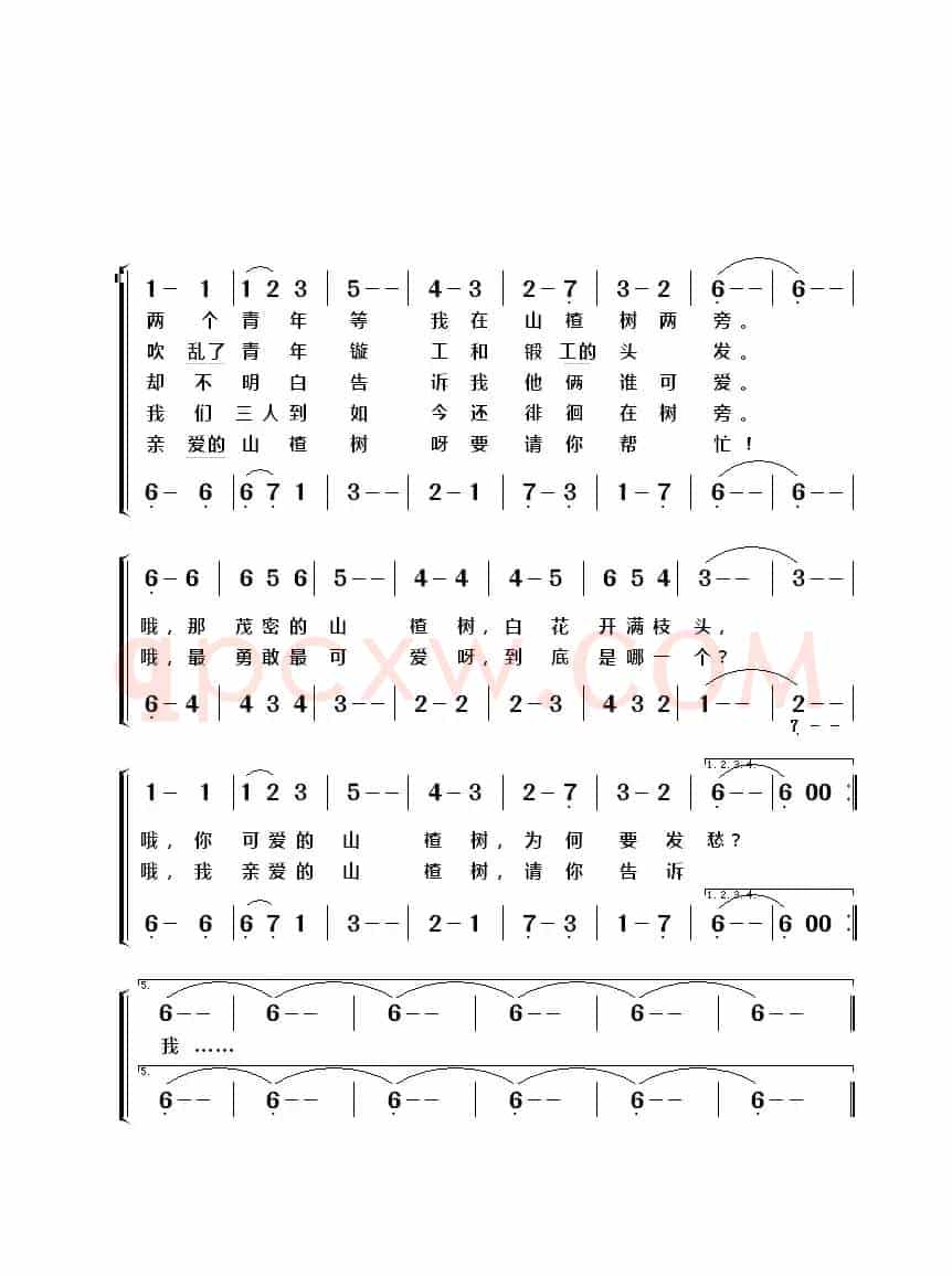 山楂树（常世华译词 千行配歌曲、合唱）