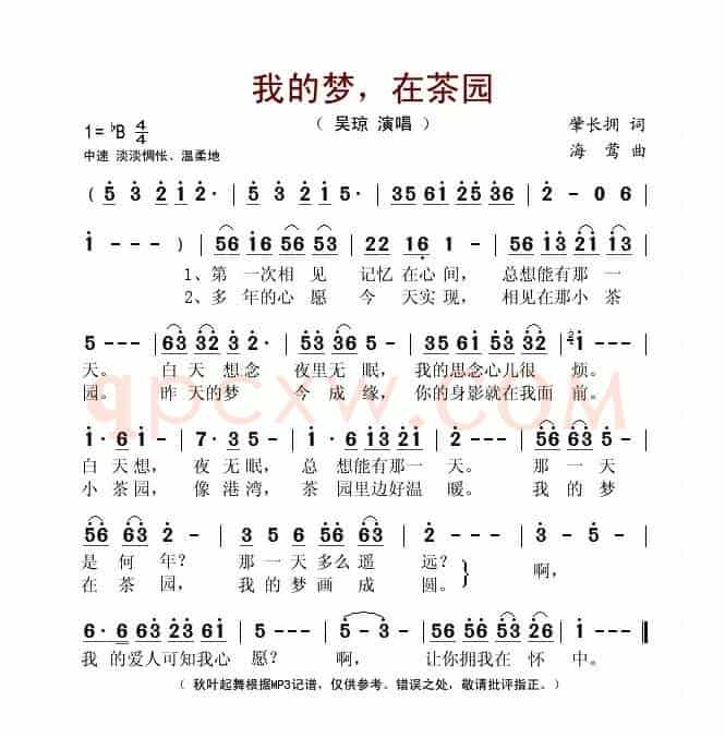 我的梦，在茶园