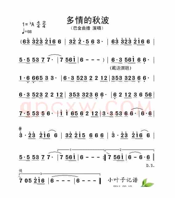 多情的秋波