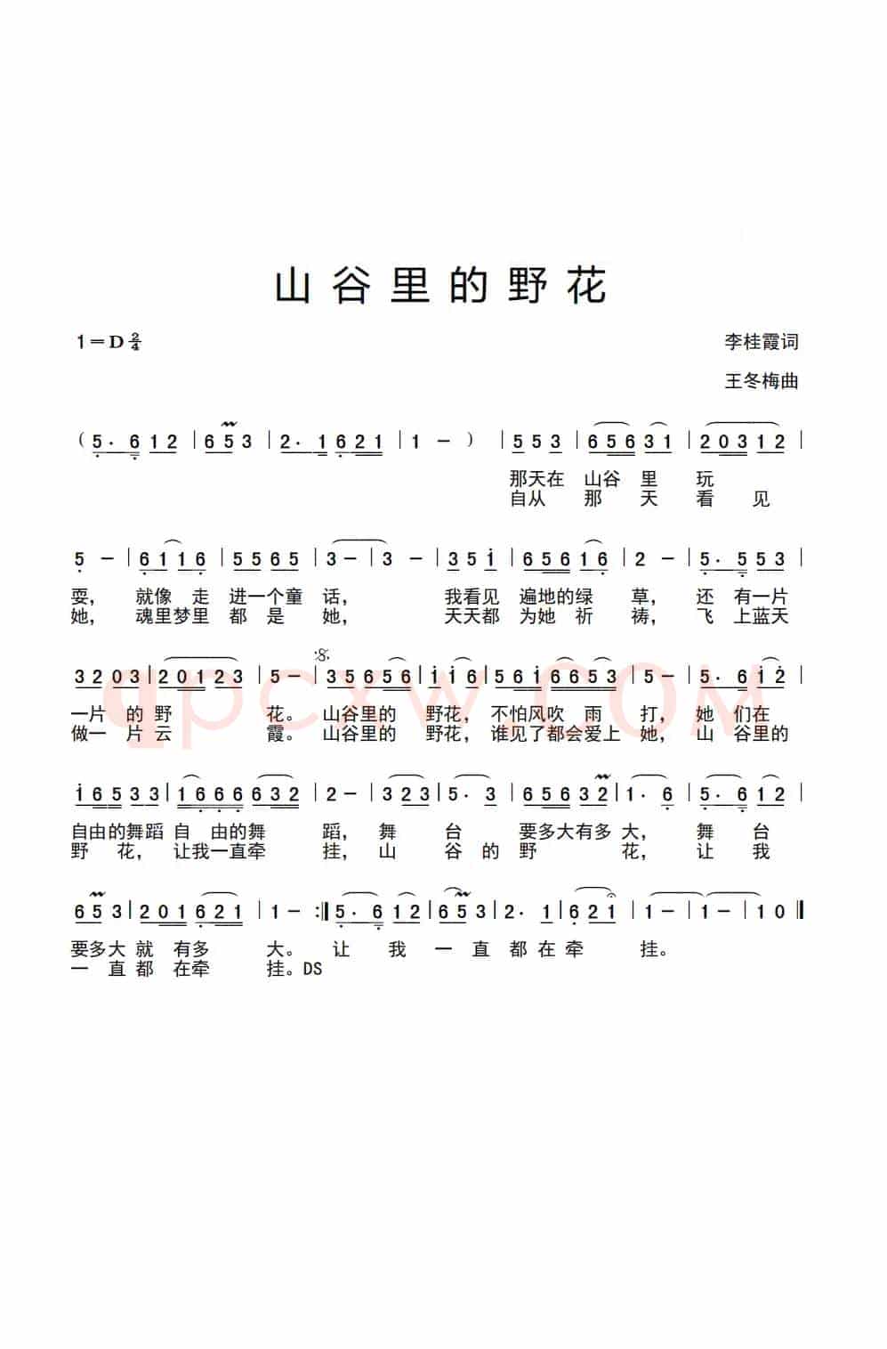 山谷里的野花