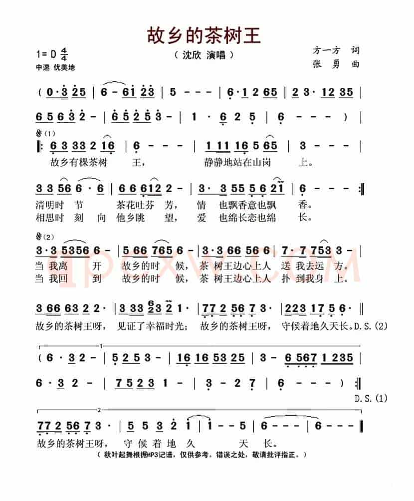故乡的茶树王