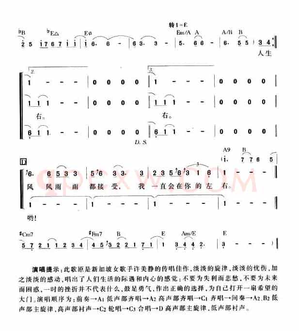 阳光总在风雨后