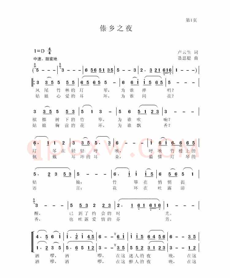 傣乡之夜