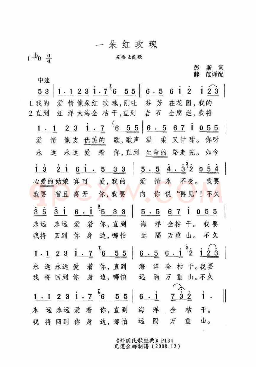 一朵红玫瑰（苏格兰）