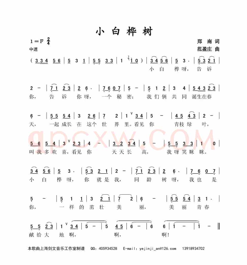 小白桦树