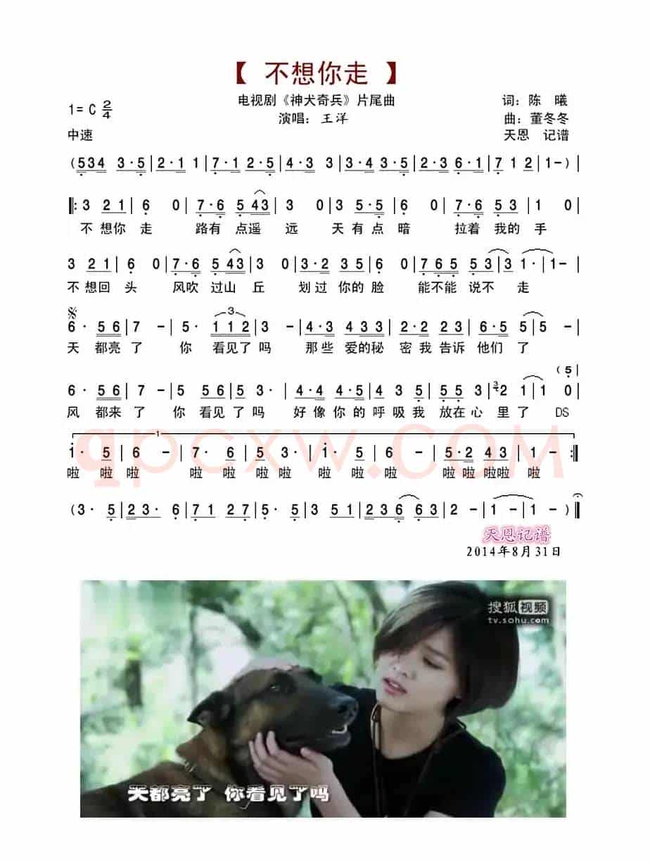 不想你走（电视剧《神犬奇兵》片尾曲）