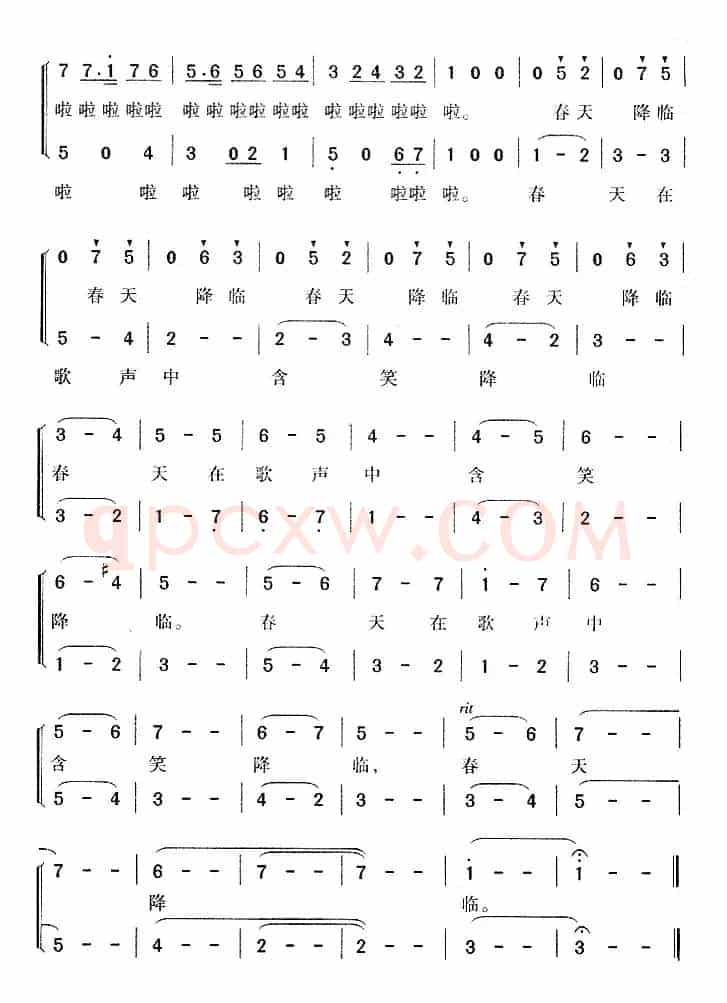 森林音乐会