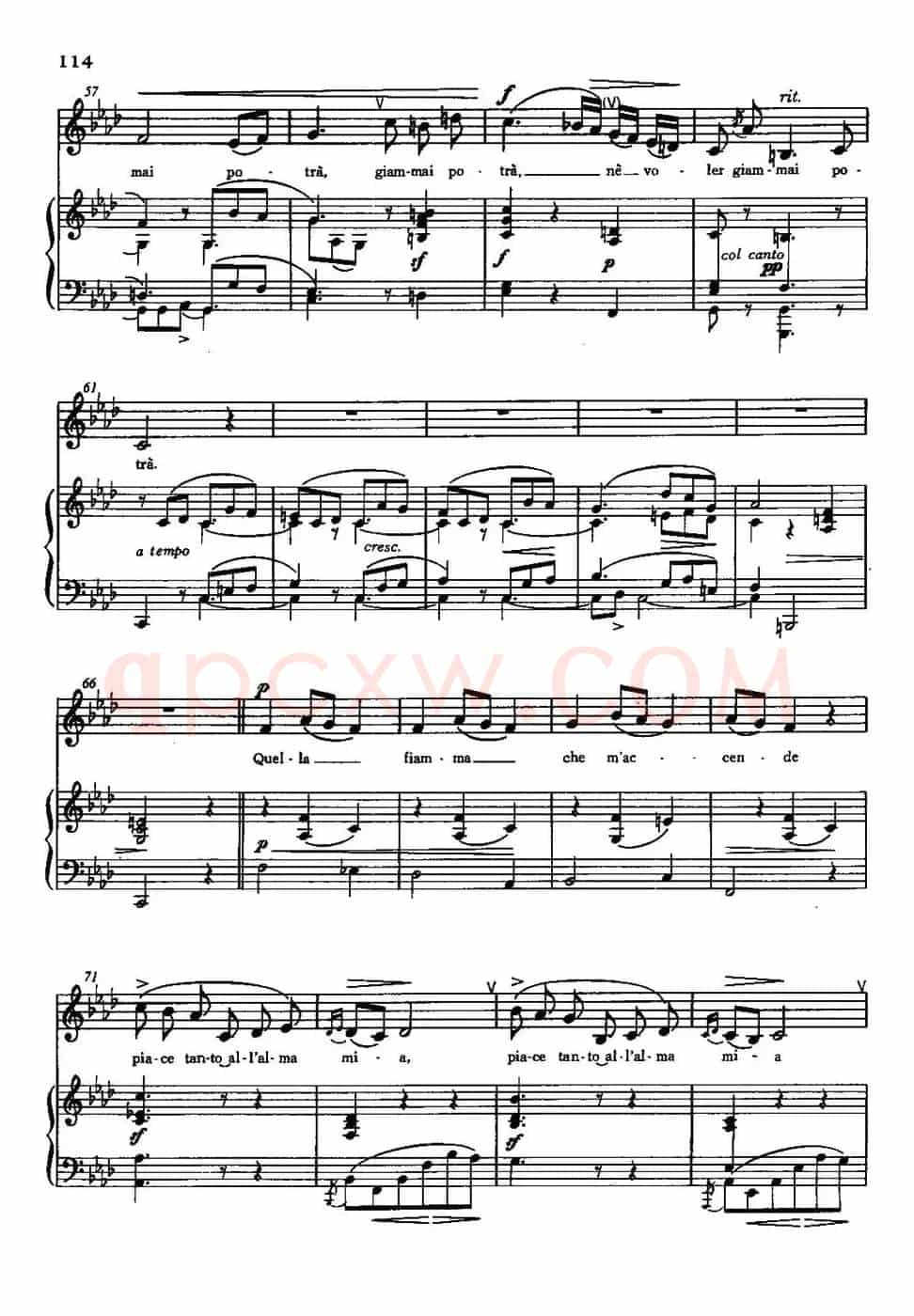 [意]Quella fiamma che m'accende（使我燃烧的热情）