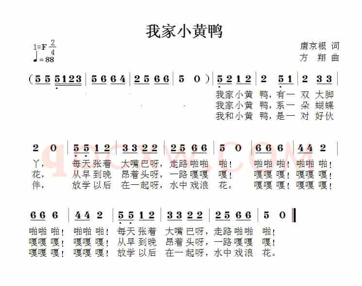 我家小黄鸭