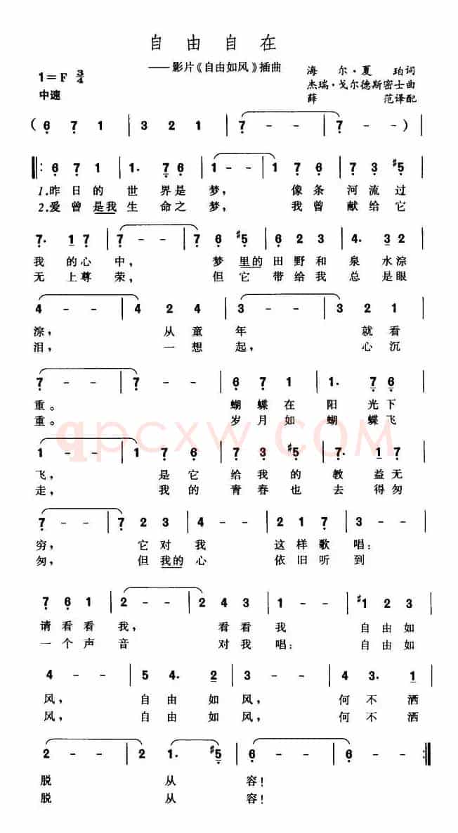 自由自在（美）