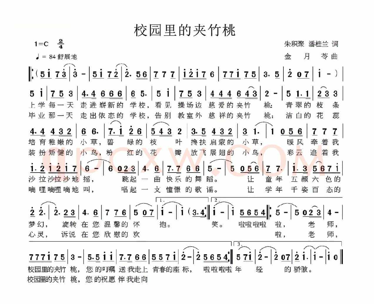 校园里的夹竹桃