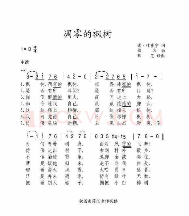 凋零的枫树（俄）