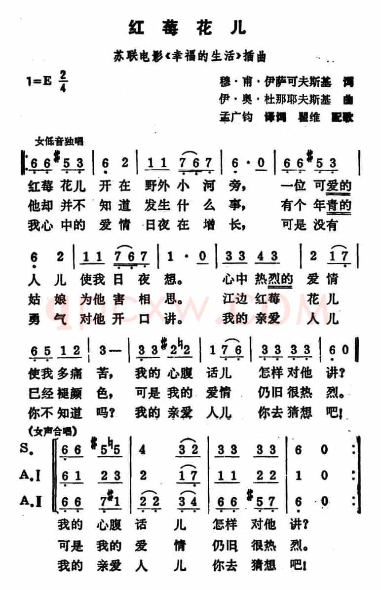[前苏联]红莓花儿开