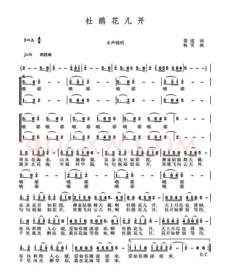 杜鹃花儿开 （娄建词 杨雪曲、独唱+伴唱）