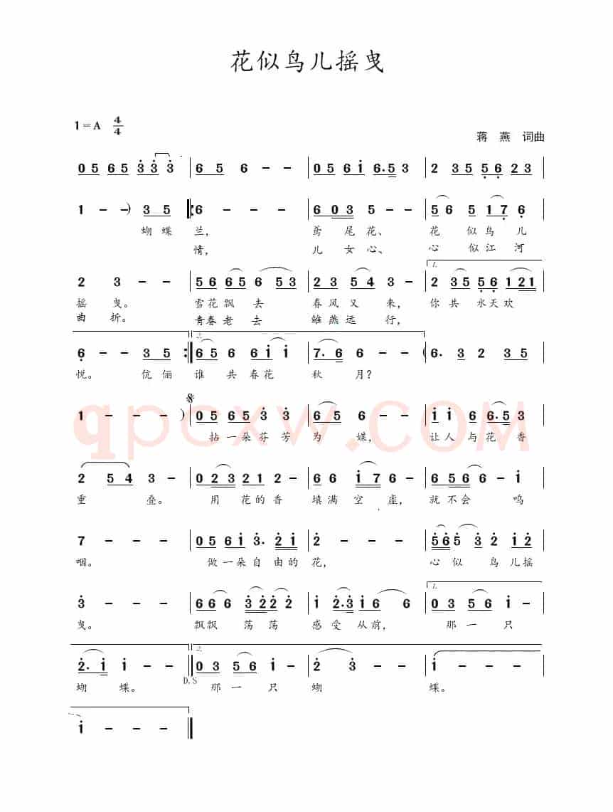 花似鸟儿摇曳（蒋燕  词曲）