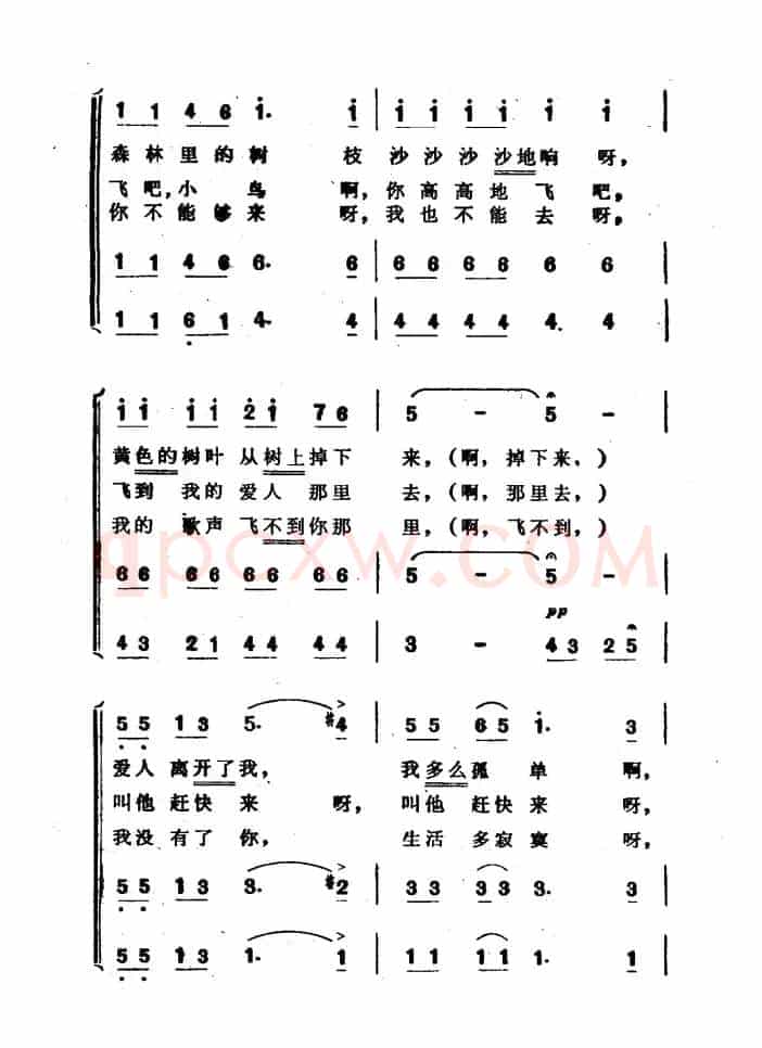 [波]小鸟（合唱 波兰民歌）