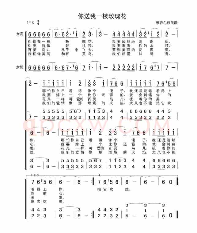 你送我一枝玫瑰花（维吾尔族民歌）