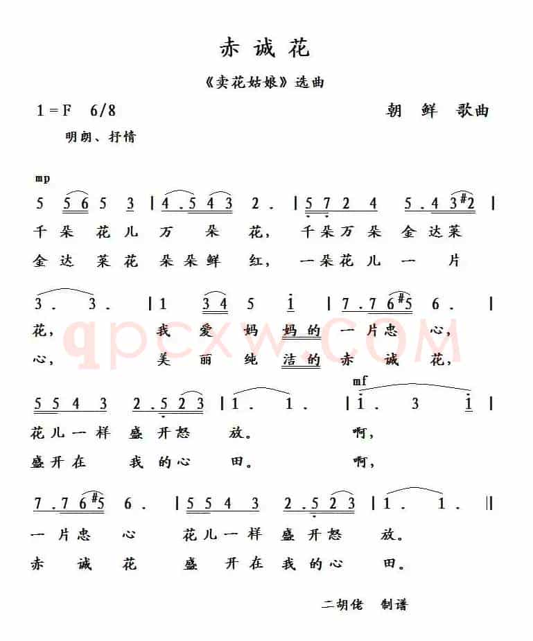 [朝鲜] 赤诚花