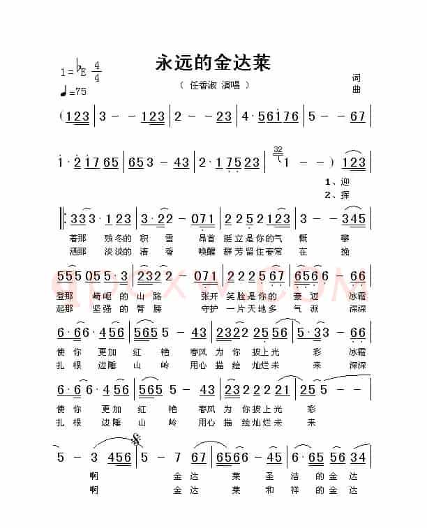 永远的金达莱