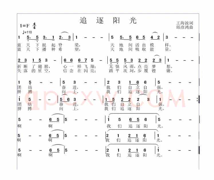 追逐阳光