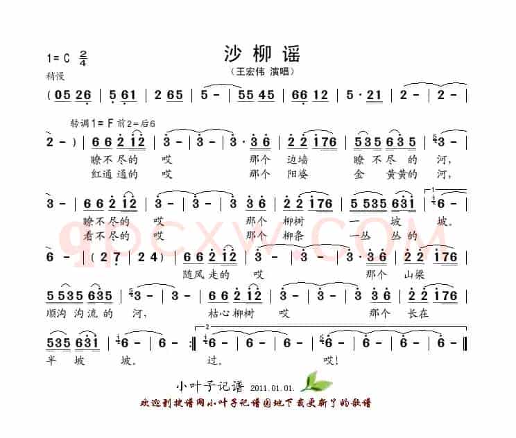 沙柳谣