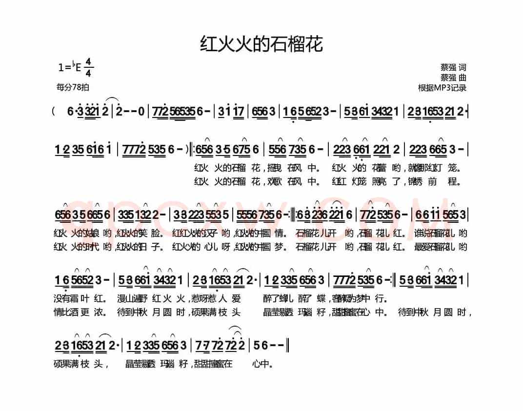 红火火的石榴花