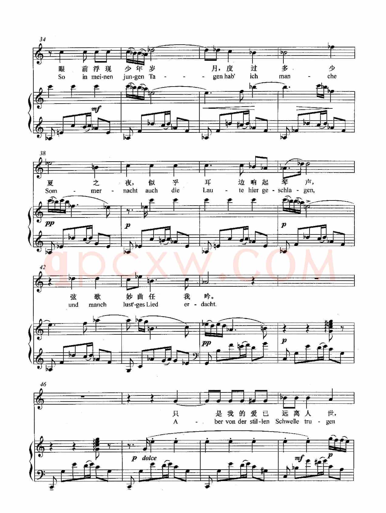 [奥]小夜曲（正谱）