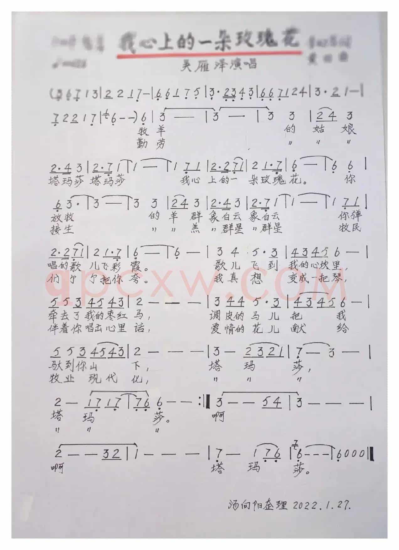 我心上的一朵玫瑰花