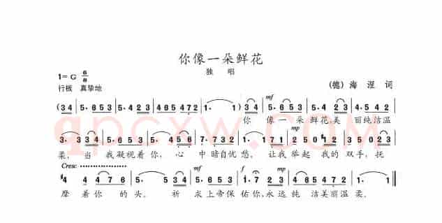你像一朵鲜花