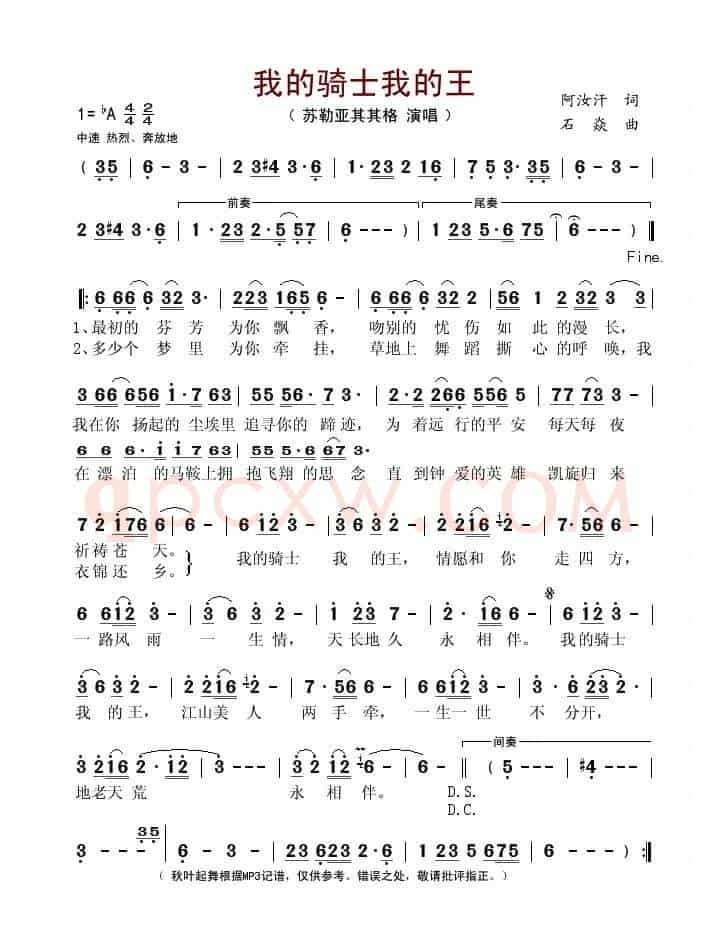 我的骑士我的王