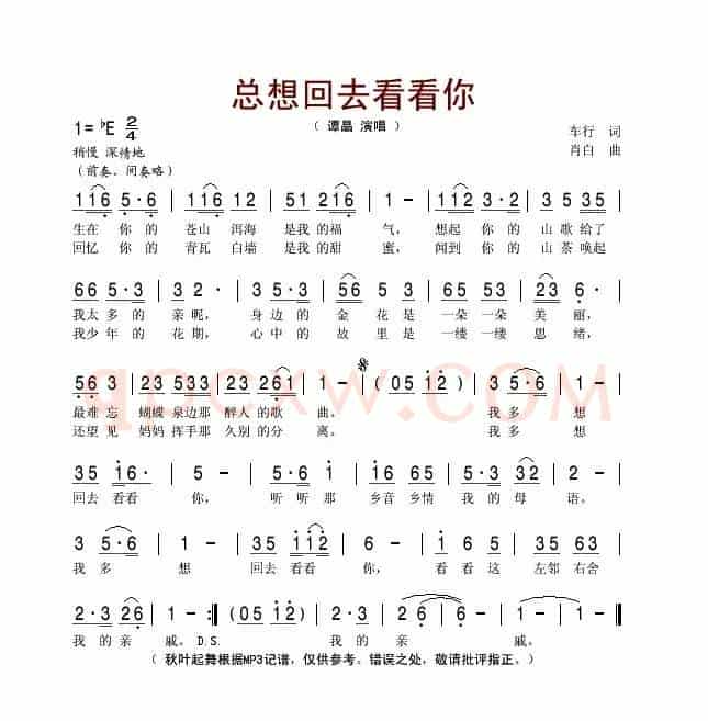 总想回去看看你