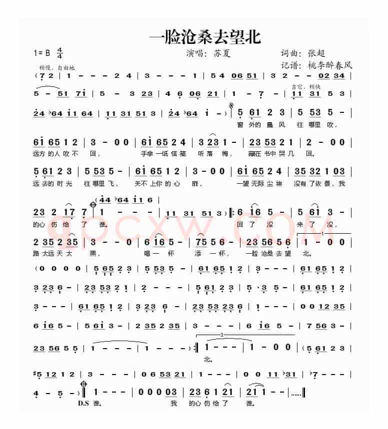 一脸沧桑去望北