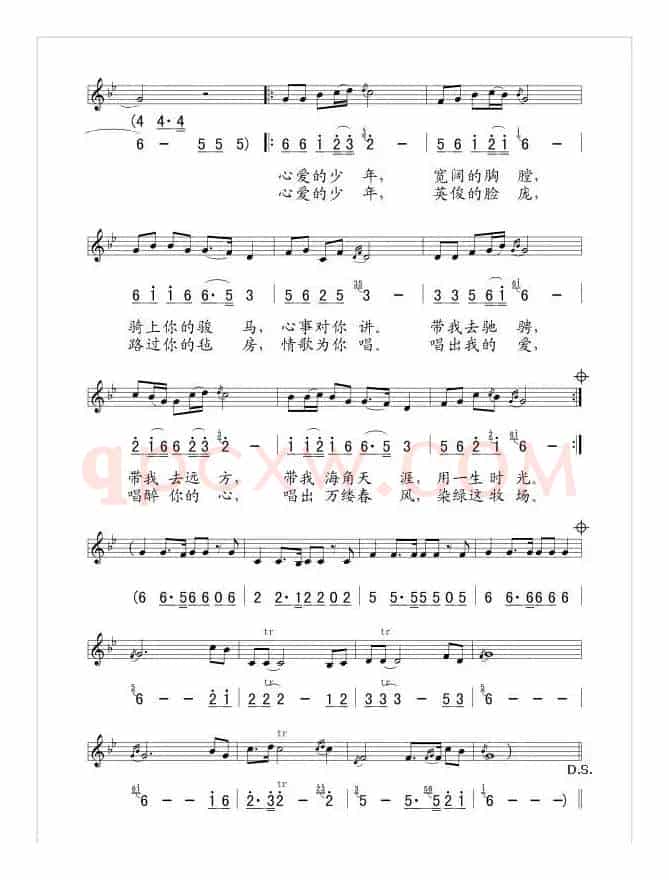 马背情歌（王洪波词 国巍曲、线简谱混排版）