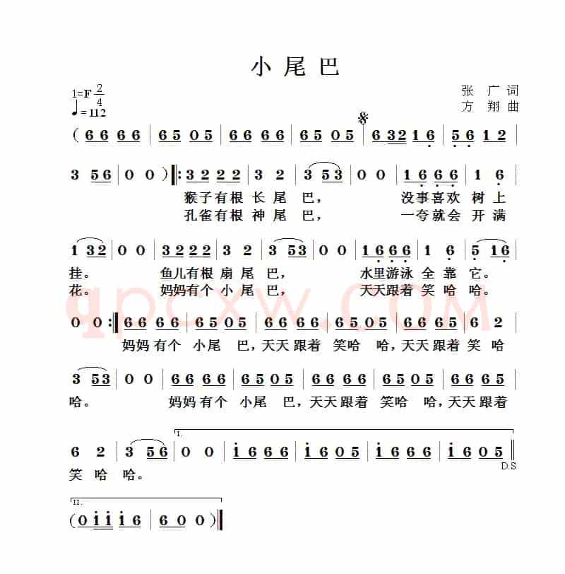 小尾巴